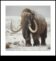 Murale cu mamut Arta antică a giganților din Epoca de Gheață