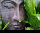 Sculpting Serenity DIY Retreats pentru grădina ta